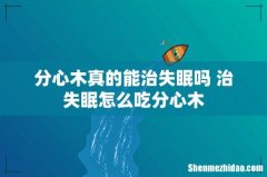 分心木真的能治失眠吗 治失眠怎么吃分心木