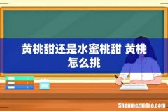 黄桃甜还是水蜜桃甜 黄桃怎么挑