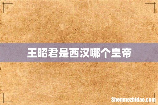 王昭君是西汉哪个皇帝