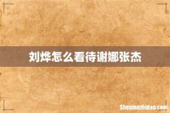 刘烨怎么看待谢娜张杰