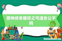 原神终末嗟叹之弓适合公子吗