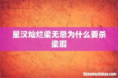 星汉灿烂梁无忌为什么要杀梁瑕