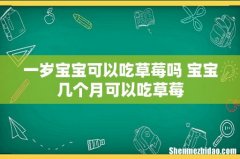 一岁宝宝可以吃草莓吗 宝宝几个月可以吃草莓