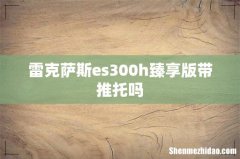 雷克萨斯es300h臻享版带推托吗