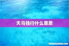 天马独行什么意思