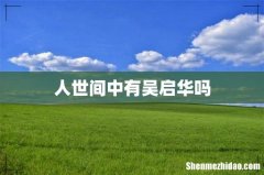 人世间中有吴启华吗