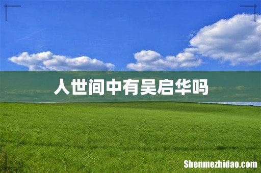 人世间中有吴启华吗