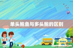 单头鲍鱼与多头鲍的区别