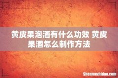 黄皮果泡酒有什么功效 黄皮果酒怎么制作方法