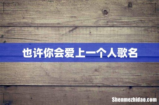 也许你会爱上一个人歌名