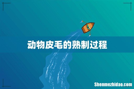 动物皮毛的熟制过程