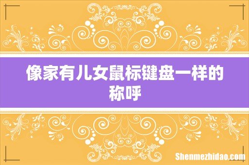 像家有儿女鼠标键盘一样的称呼