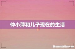 仲小萍和儿子现在的生活