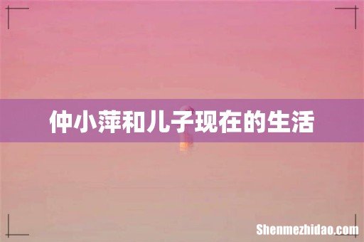 仲小萍和儿子现在的生活