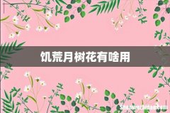 饥荒月树花有啥用
