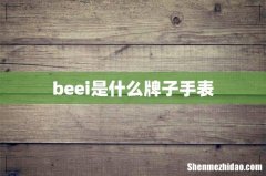 beei是什么牌子手表