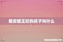 戴安娜王妃的孩子叫什么