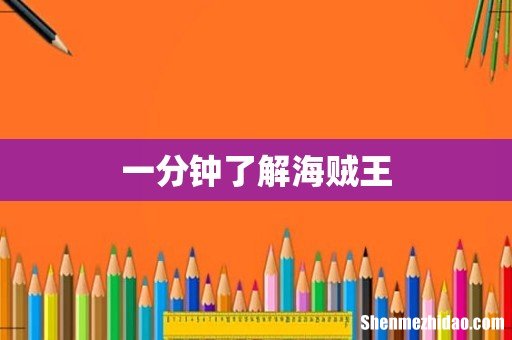 一分钟了解海贼王