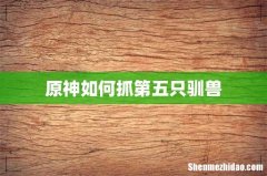 原神如何抓第五只驯兽