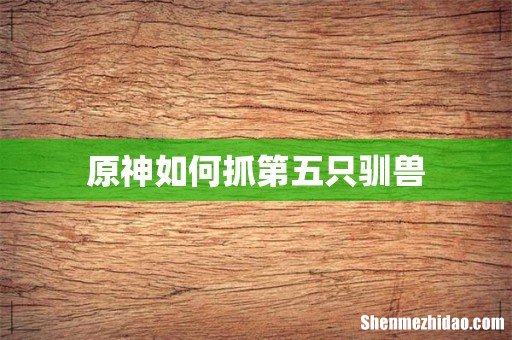 原神如何抓第五只驯兽
