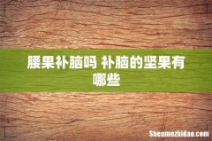腰果补脑吗 补脑的坚果有哪些