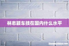 林志颖车技在国内什么水平