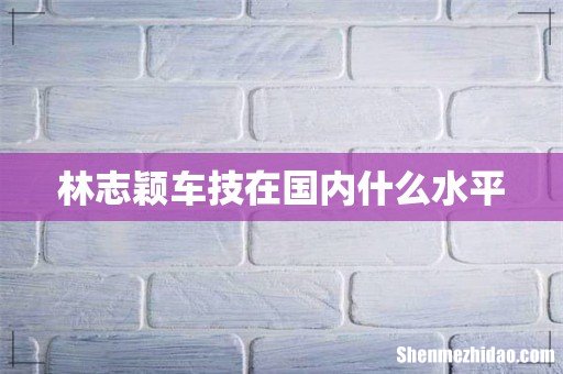 林志颖车技在国内什么水平