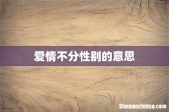 爱情不分性别的意思