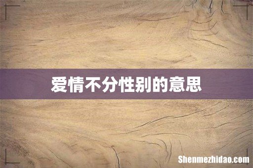 爱情不分性别的意思
