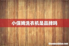 小保姆洗衣机是品牌吗