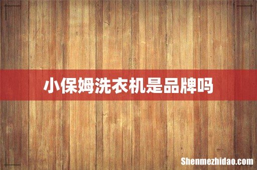 小保姆洗衣机是品牌吗