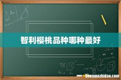 智利樱桃品种哪种最好