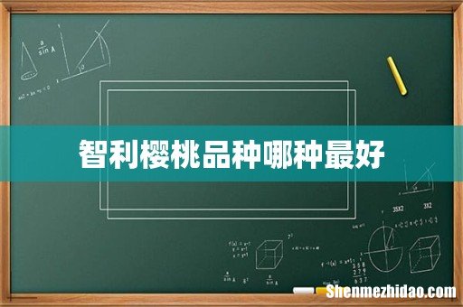 智利樱桃品种哪种最好