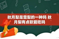 秋月梨是雪梨的一种吗 秋月梨有点软能吃吗