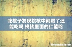 吃桃子发现桃核中间霉了还能吃吗 桃核里面的仁能吃吗