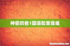 神偷奶爸1国语配音是谁