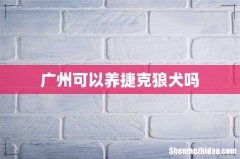 广州可以养捷克狼犬吗