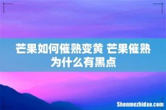 芒果如何催熟变黄 芒果催熟为什么有黑点