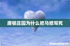 唐顿庄园为什么把马修写死