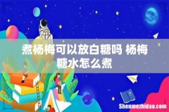 煮杨梅可以放白糖吗 杨梅糖水怎么煮