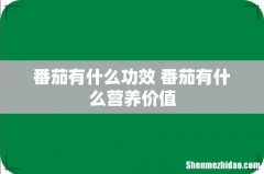 番茄有什么功效 番茄有什么营养价值