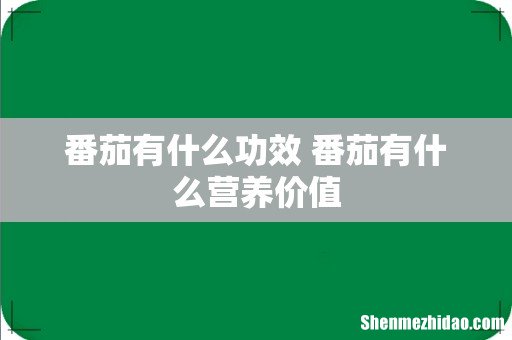番茄有什么功效 番茄有什么营养价值