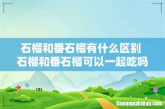 石榴和番石榴有什么区别 石榴和番石榴可以一起吃吗