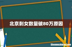北京剩女数量破80万原因