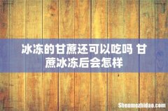 冰冻的甘蔗还可以吃吗 甘蔗冰冻后会怎样