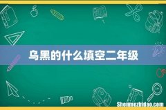 乌黑的什么填空二年级