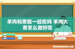 羊肉和葱能一起吃吗 羊肉大葱怎么做好吃