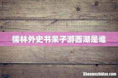 儒林外史书呆子游西湖是谁