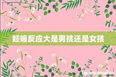 妊娠反应大是男孩还是女孩