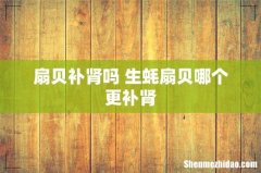 扇贝补肾吗 生蚝扇贝哪个更补肾